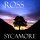 Sycamore Gap by L J Ross @LJRoss_author #BookReview #DCIRyanMysteries